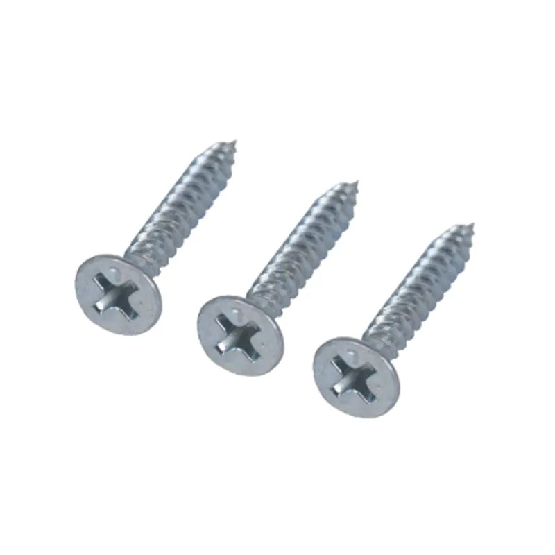 Revolutionizing Fastening? The Allure of Slotted Flat Head Galvanized Screws