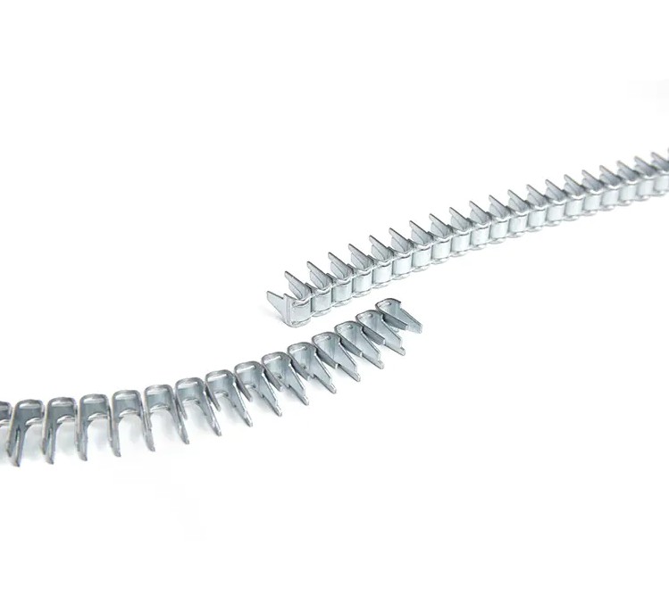 What Makes C Circle Staples Stand Out in the Crowd?