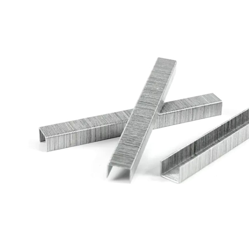 20GA A11 Series Staples